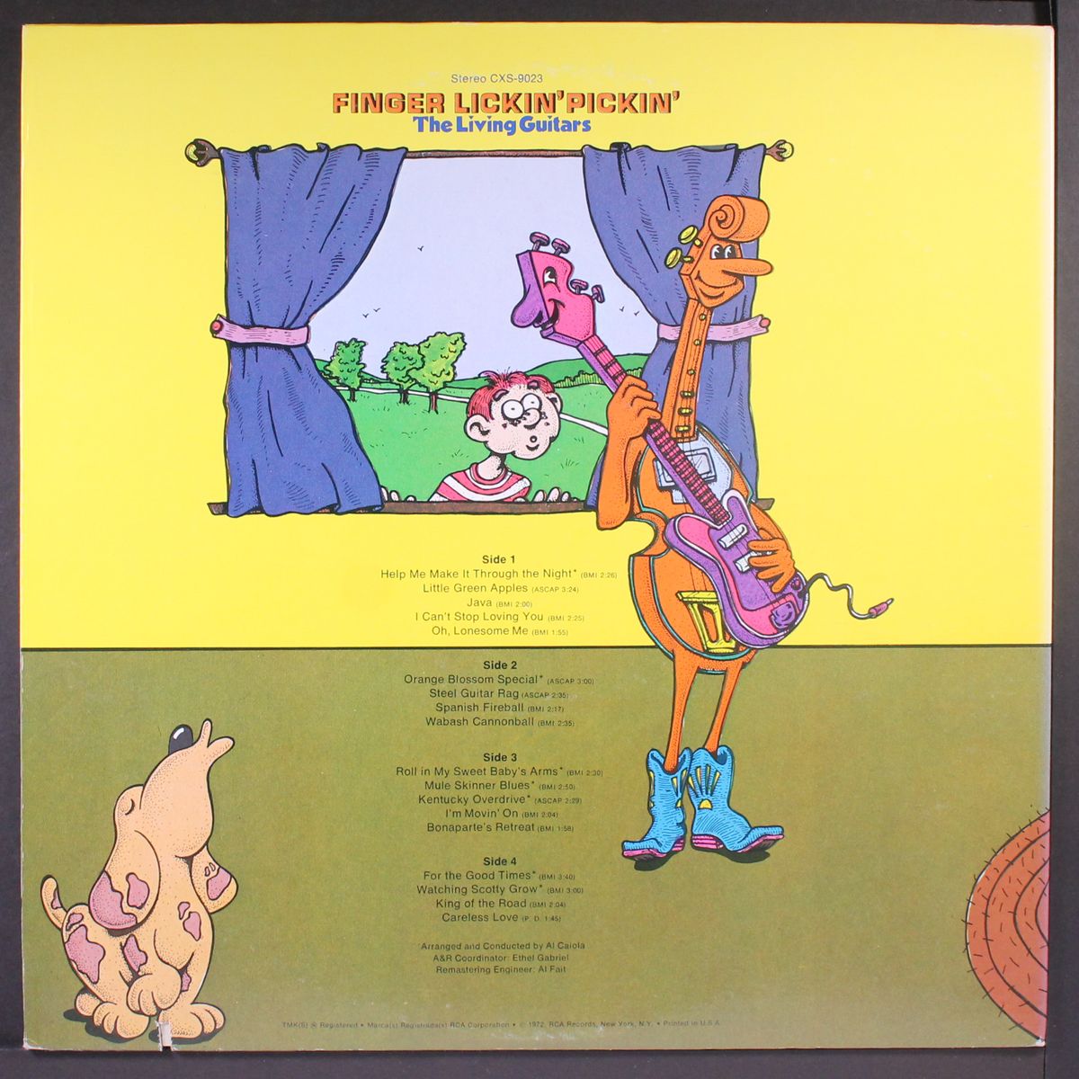 finger lickin' pickin' by LIVING GUITARS