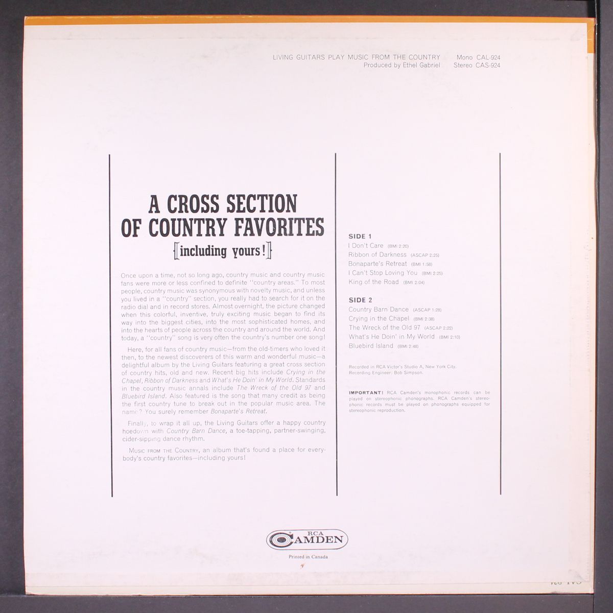 music from the country by LIVING GUITARS