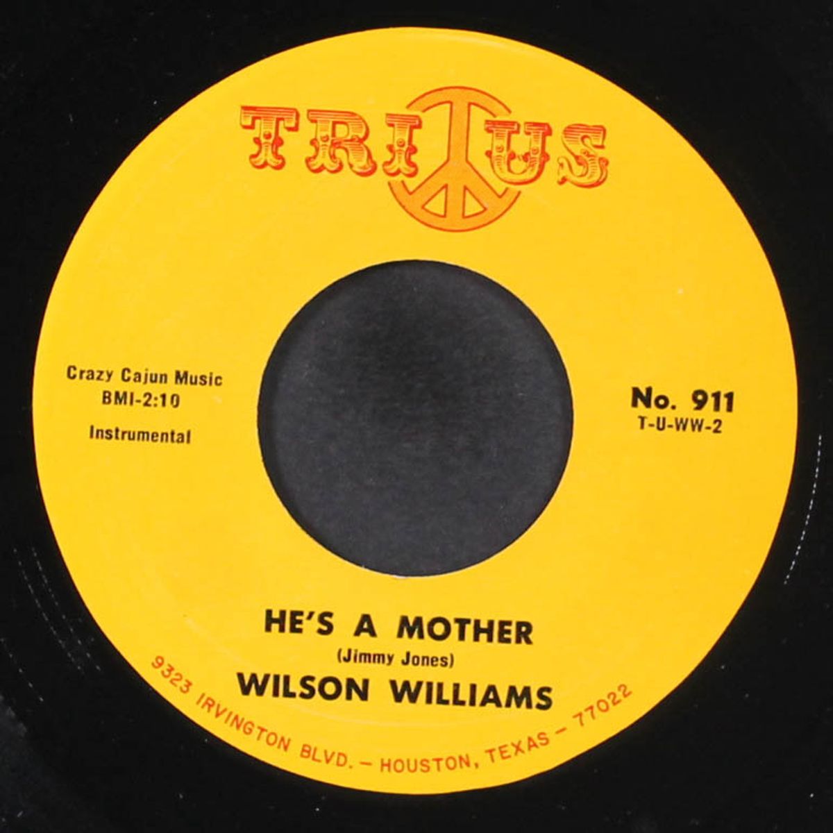 can't get over losing you / he's a mother by WILSON WILLIAMS