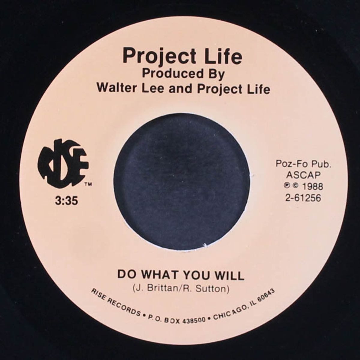 do what you will / remix by PROJECT LIFE