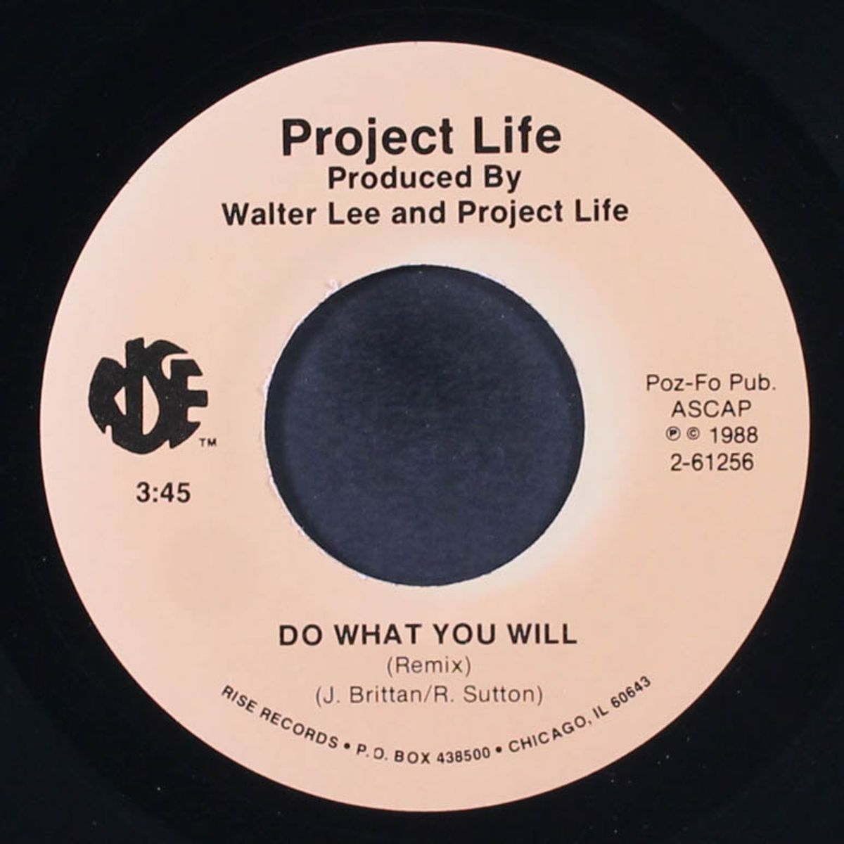 do what you will / remix by PROJECT LIFE