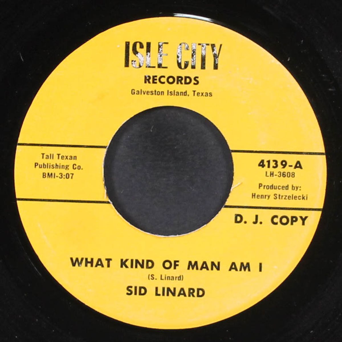 what kind of man am i by SID LINARD