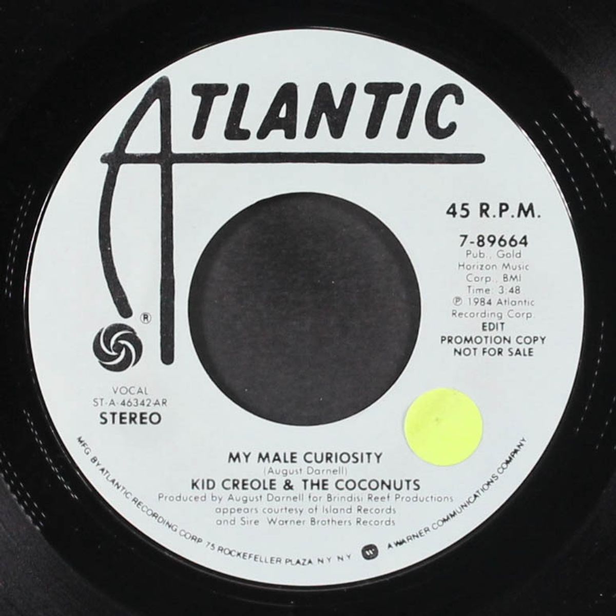 my male curiosity / short by KID CREOLE & COCONUTS