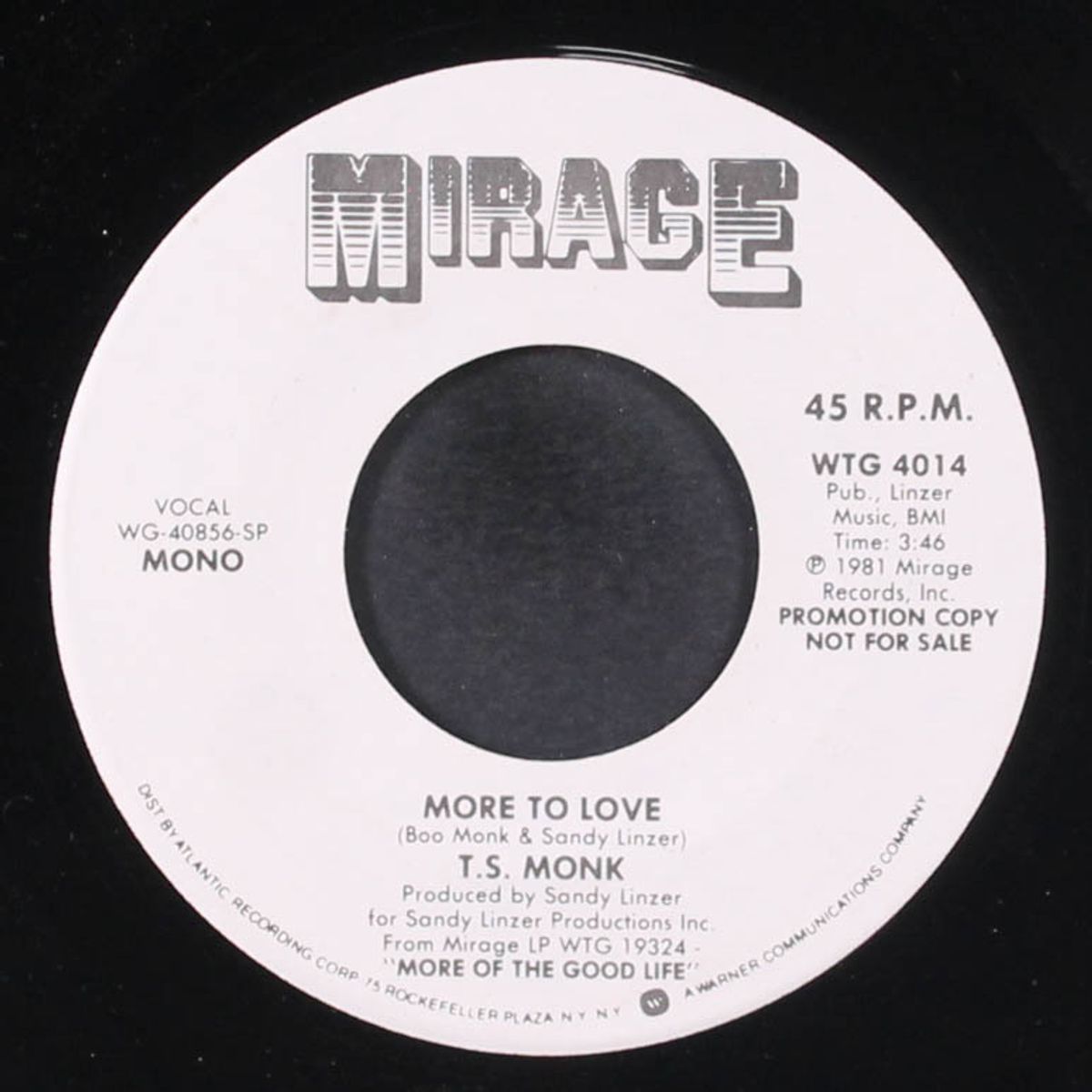 more to love / mono by T.S. MONK
