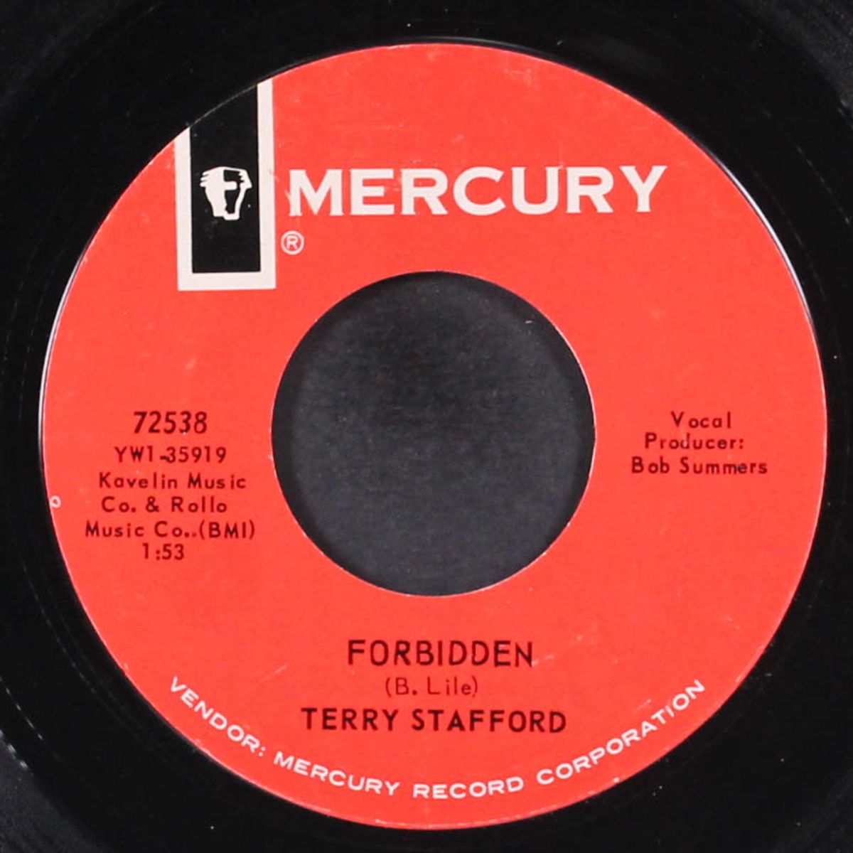forbidden / out of the picture by TERRY STAFFORD