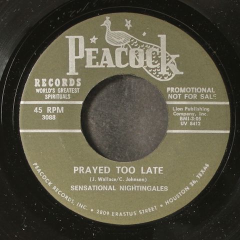 SENSATIONAL NIGHTINGALES