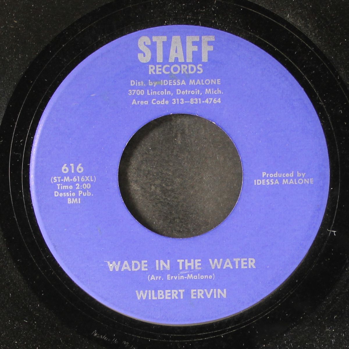 wade in the water / this train by WILBERT ERVIN