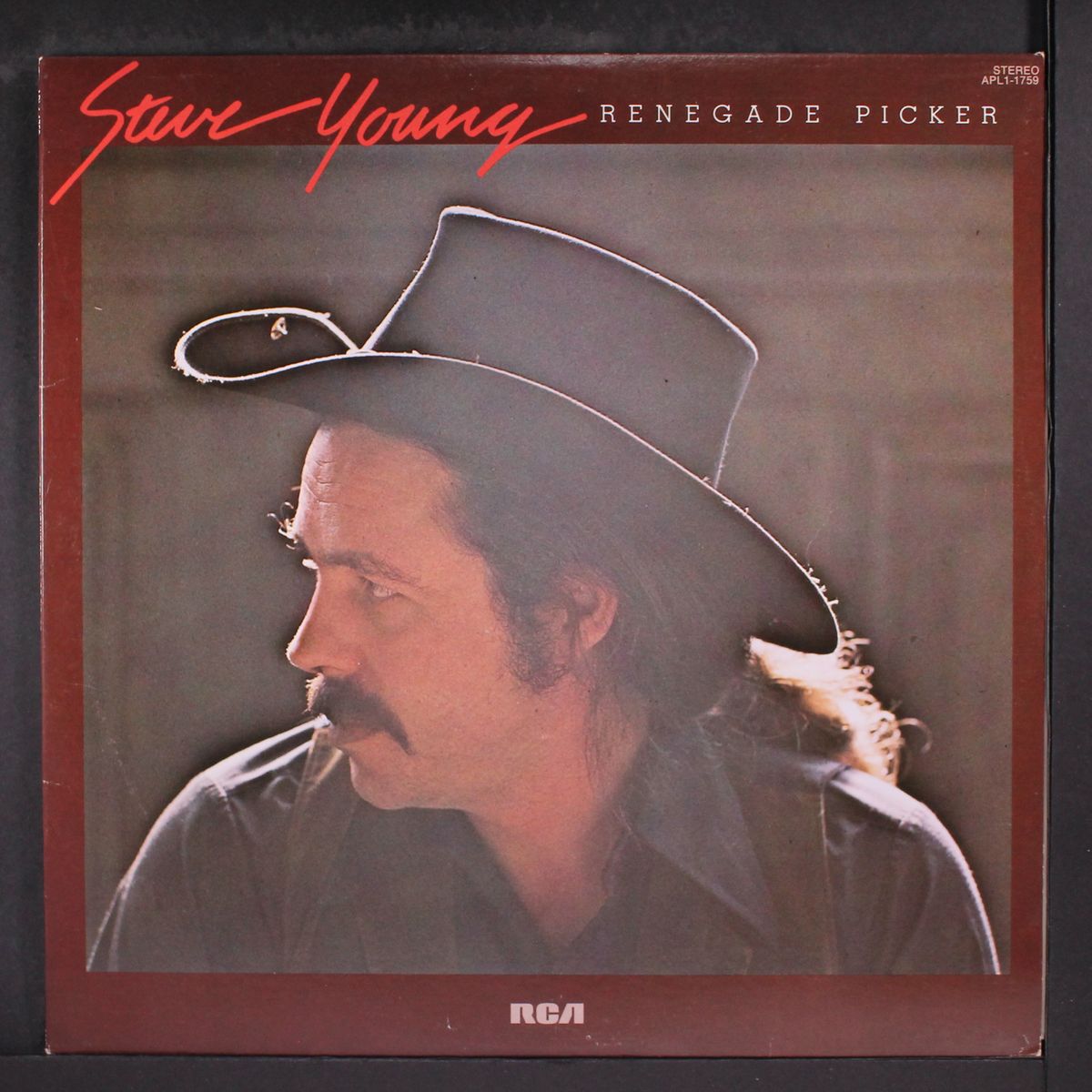 renegade picker by STEVE YOUNG