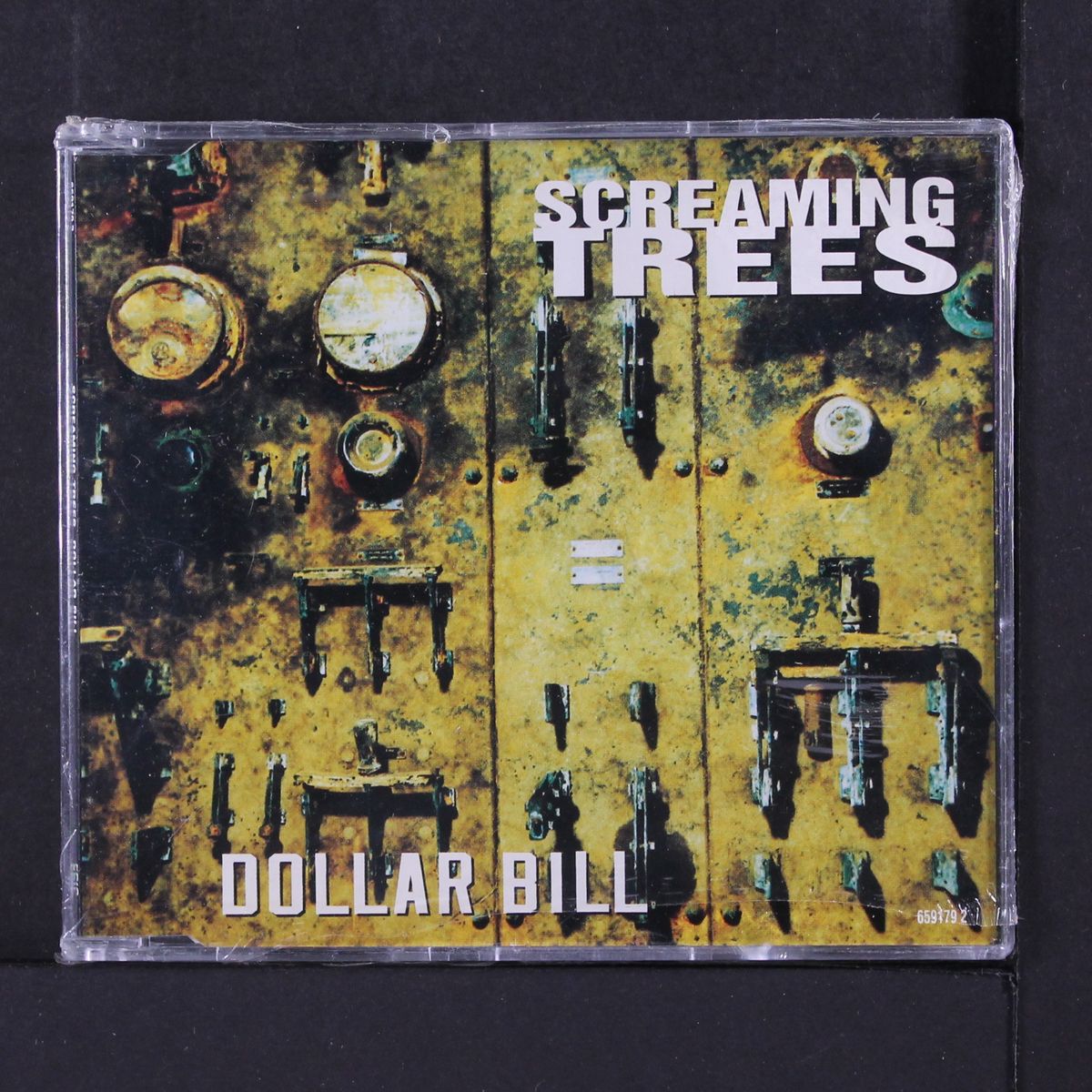 dollar bill by SCREAMING TREES