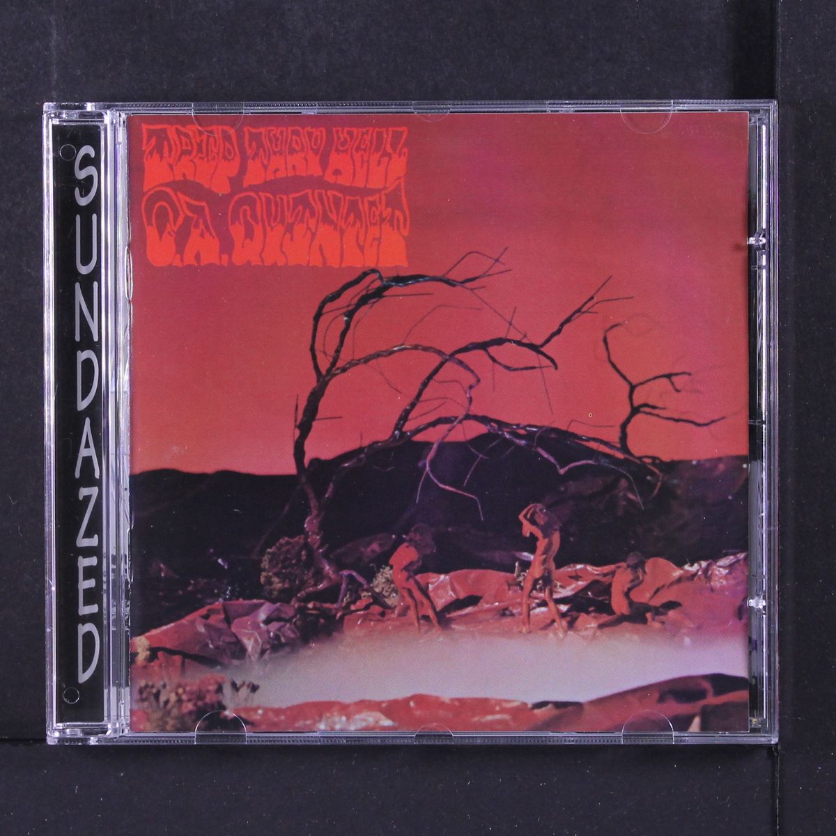 trip thru hell by C.A. QUINTET
