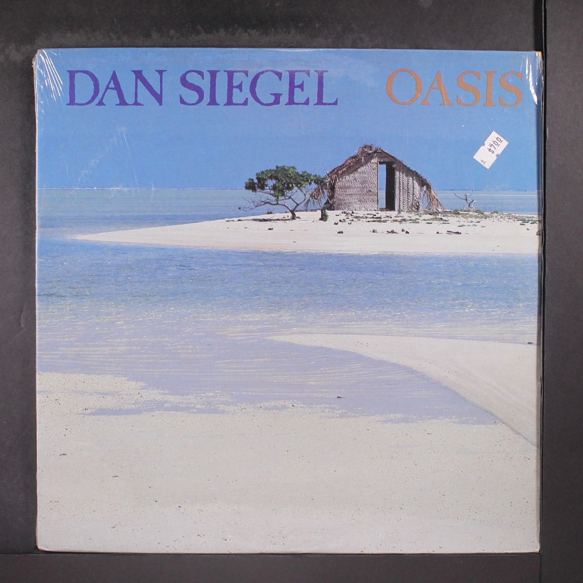 oasis by DAN SIEGEL