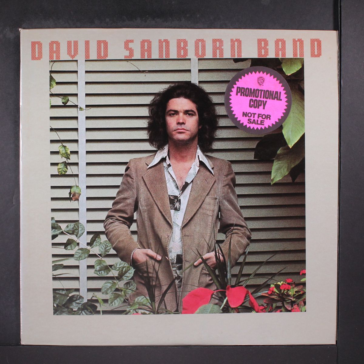 promise me the moon by DAVID SANBORN