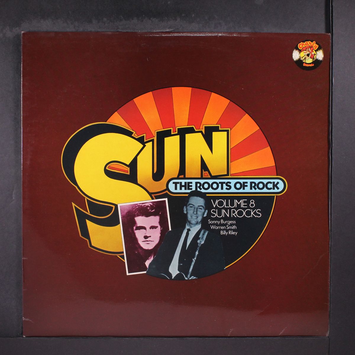 sun, the roots of rock 8; sun rocks by VARIOUS