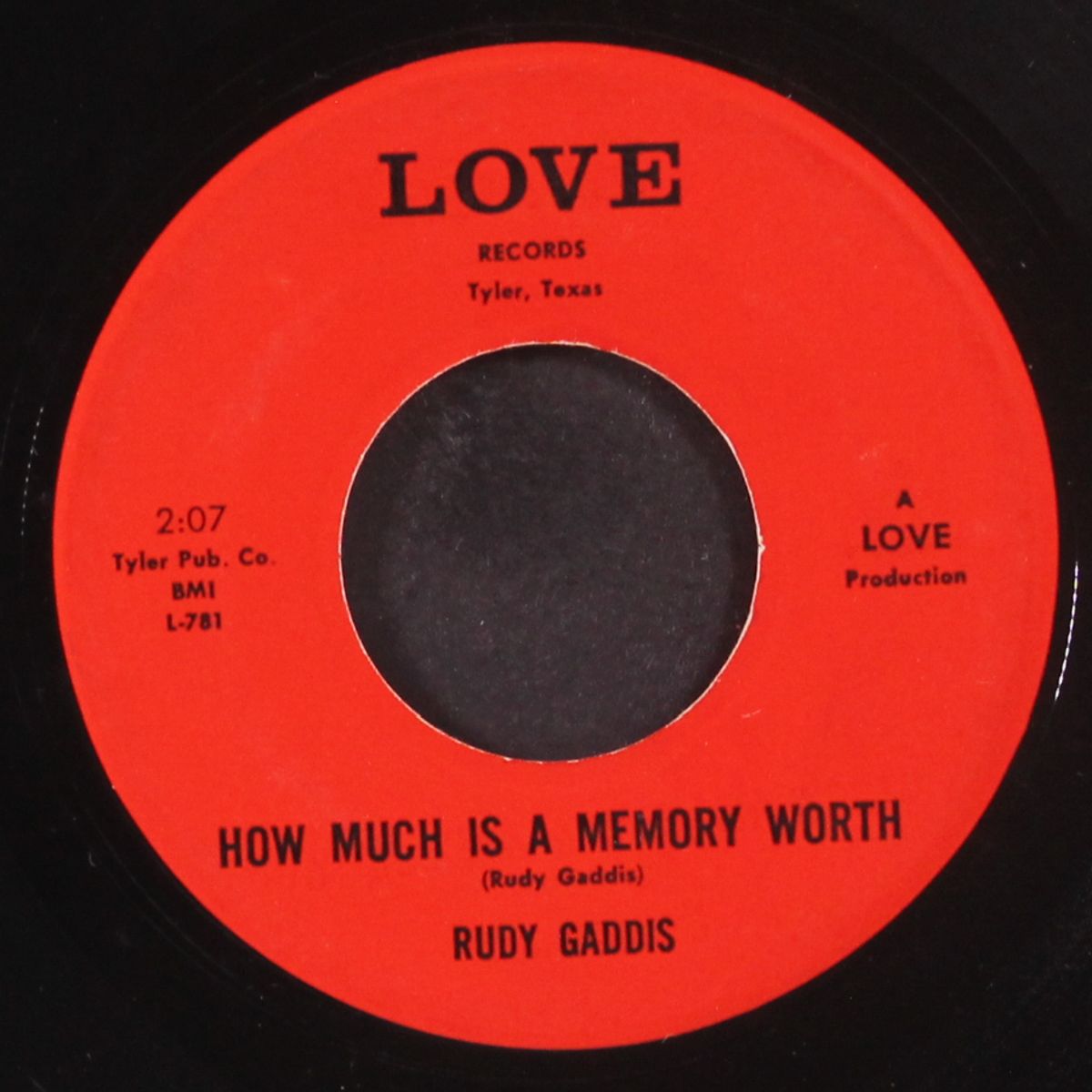 sandy land farm / how much is a memory worth by RUDY GADDIS