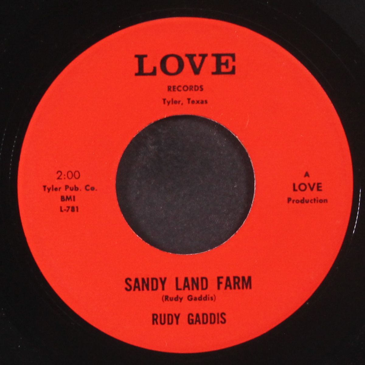 sandy land farm / how much is a memory worth by RUDY GADDIS
