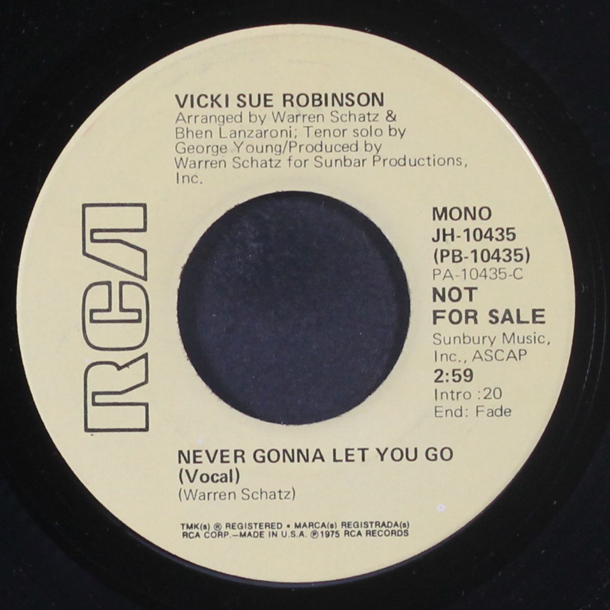 never gonna let you go by VICKI SUE ROBINSON