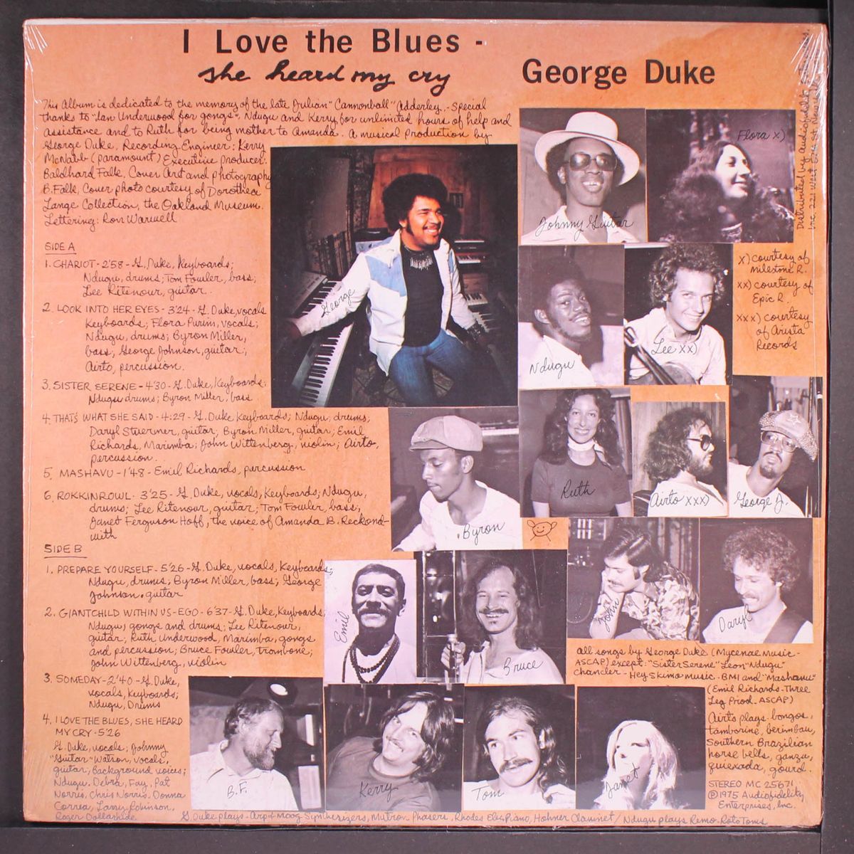 i love the blues... by GEORGE DUKE