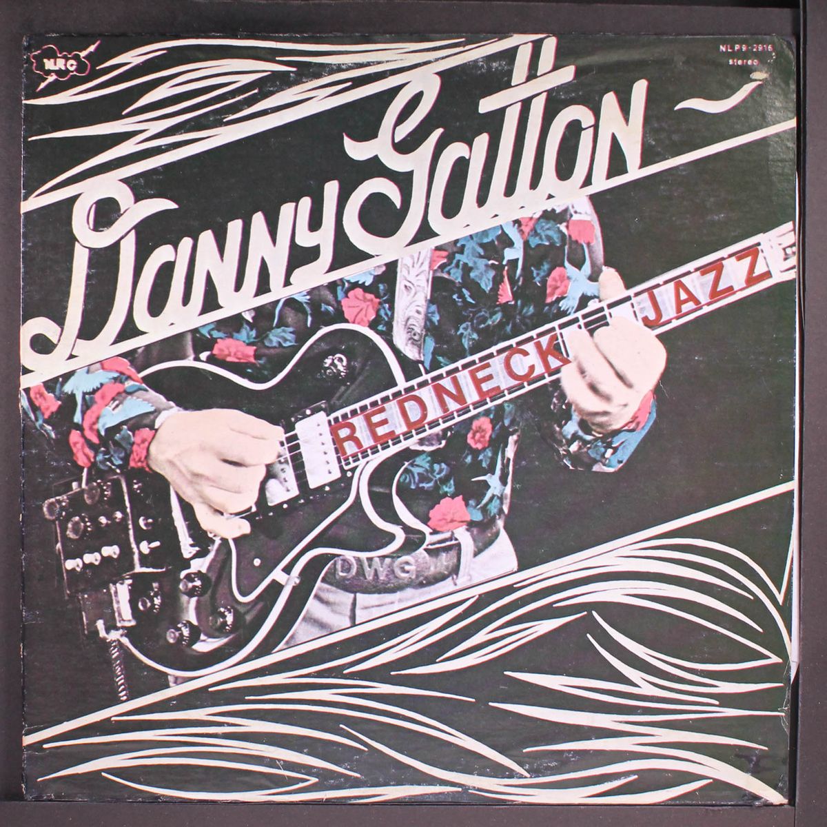 redneck jazz by DANNY GATTON