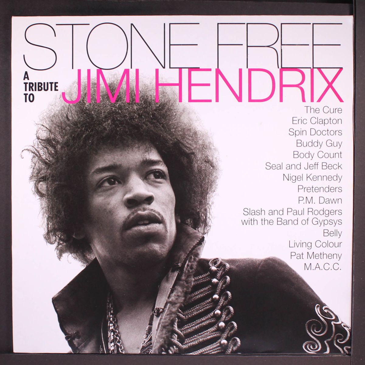 stone free a tribute to jimi hendrix by VARIOUS