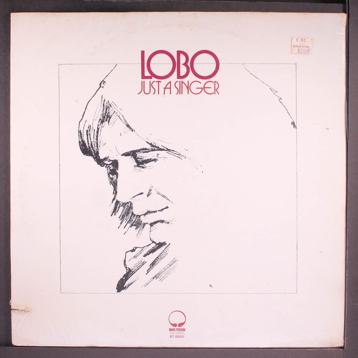 just a singer by LOBO