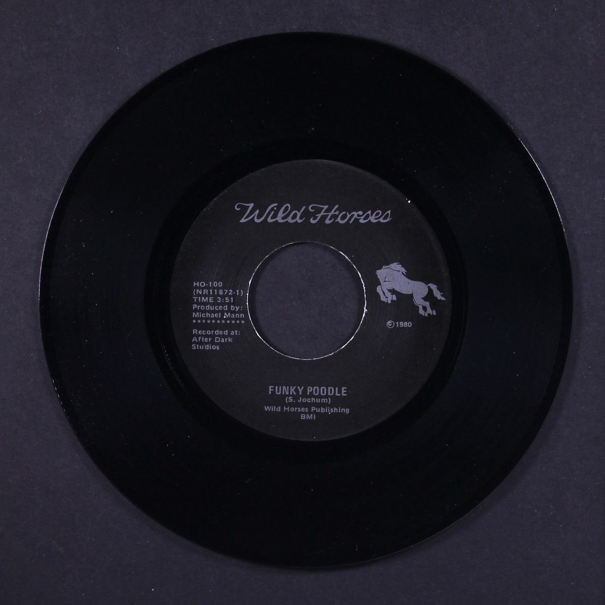 funky poodle / neighborhood angel by WILD HORSES