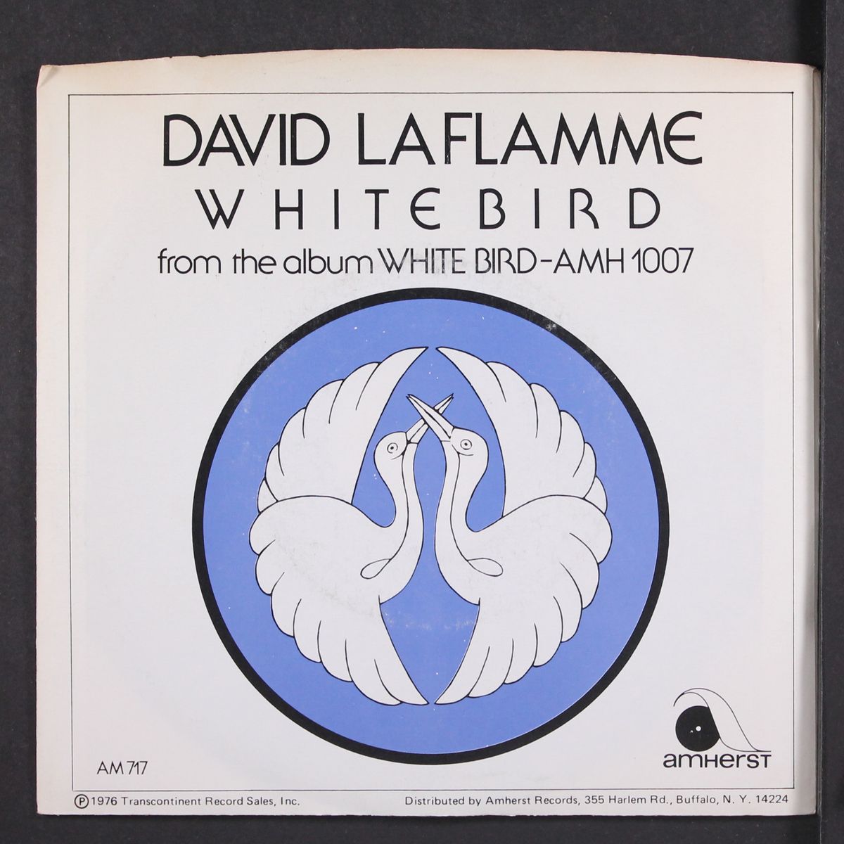 white bird / mono by DAVID LAFLAMME