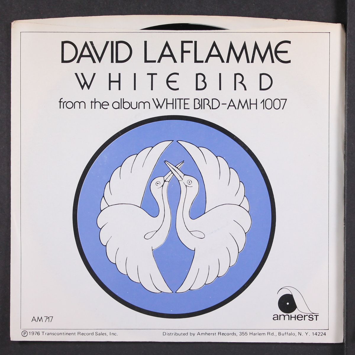 white bird / mono by DAVID LAFLAMME