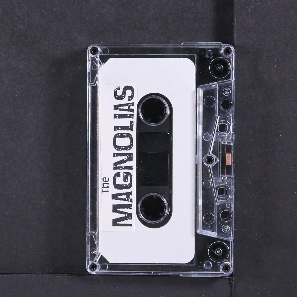magnolias by MAGNOLIAS