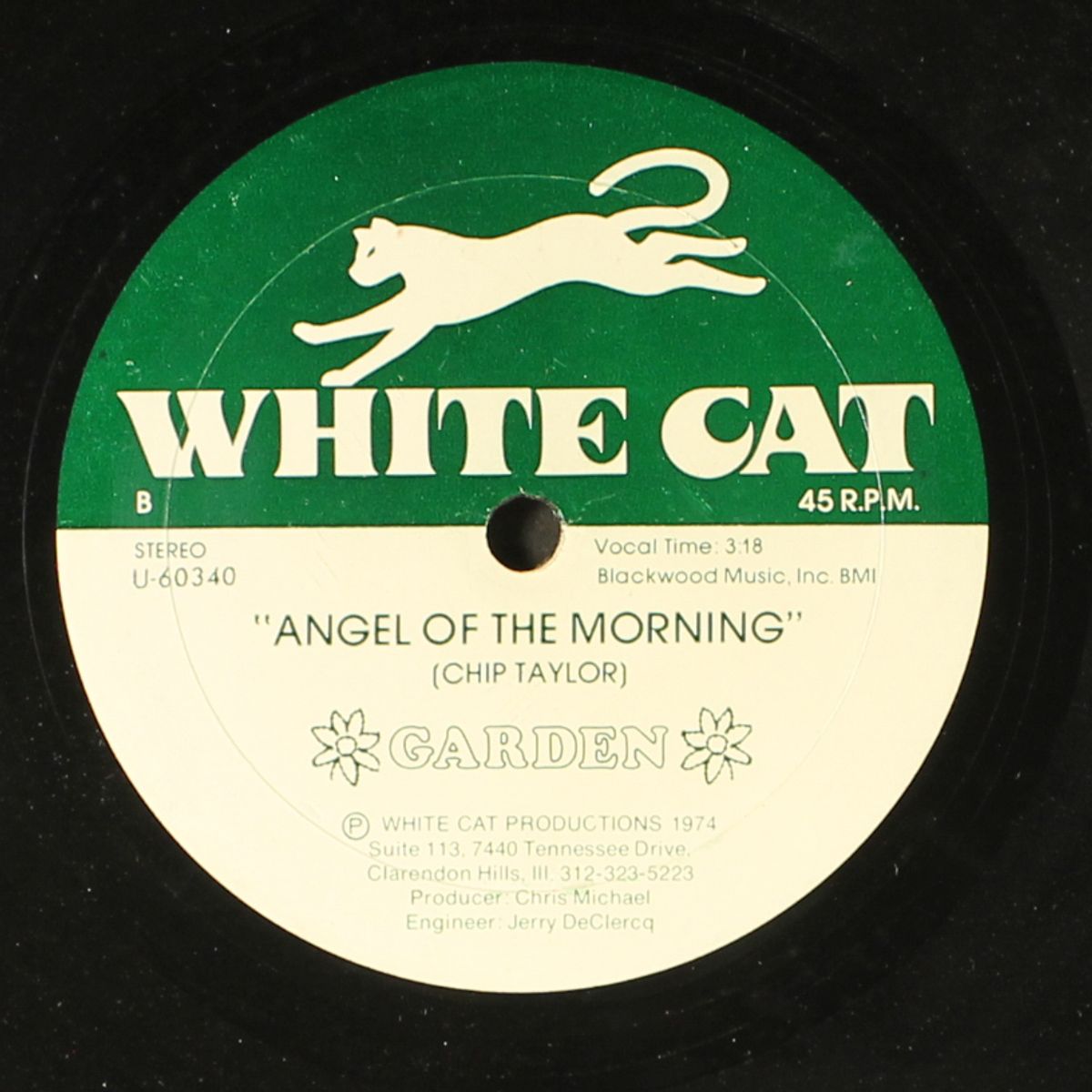 never gonna change my mind / angel of the morning by GARDEN