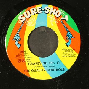 QUALITY CONTROLS