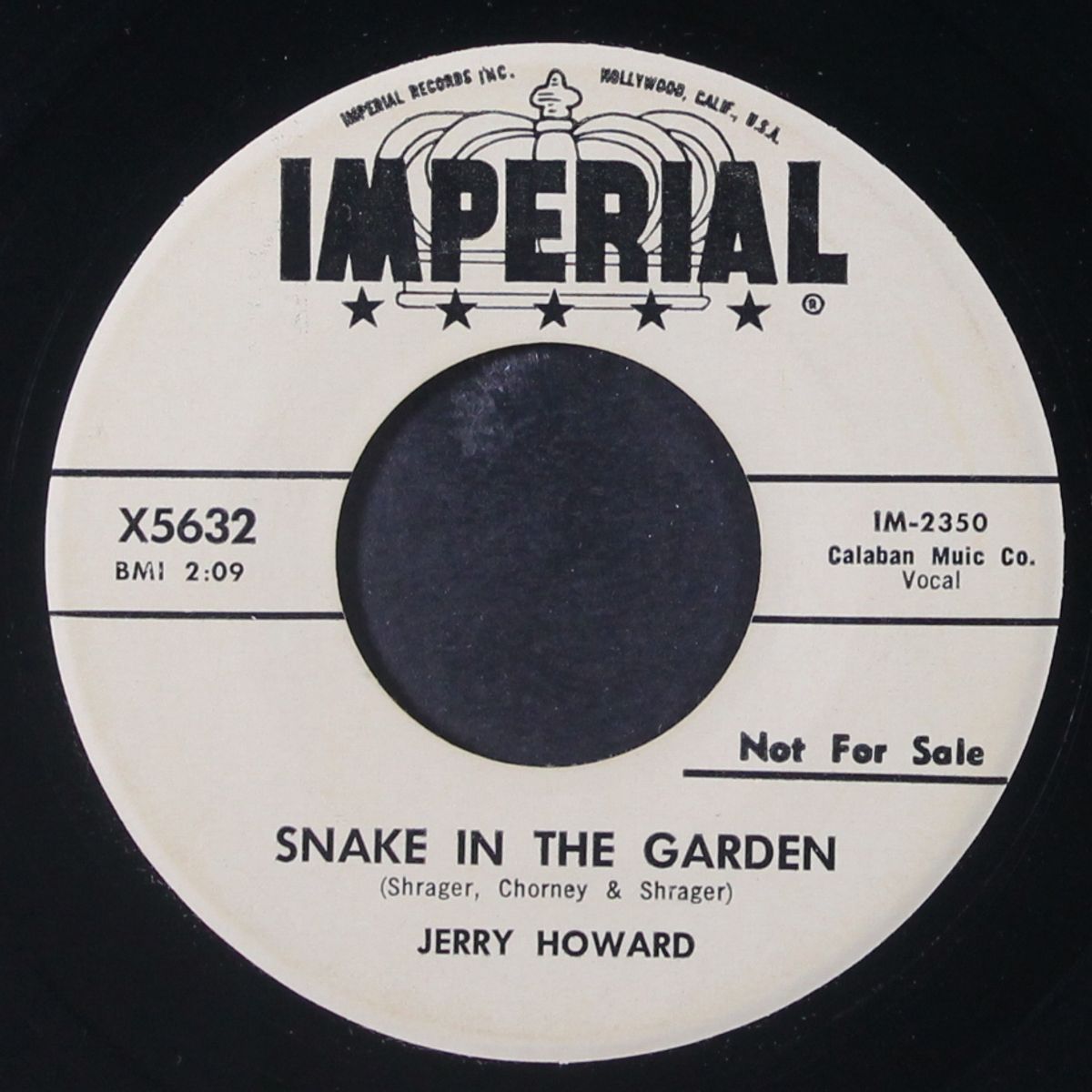 snake in the garden by JERRY HOWARD