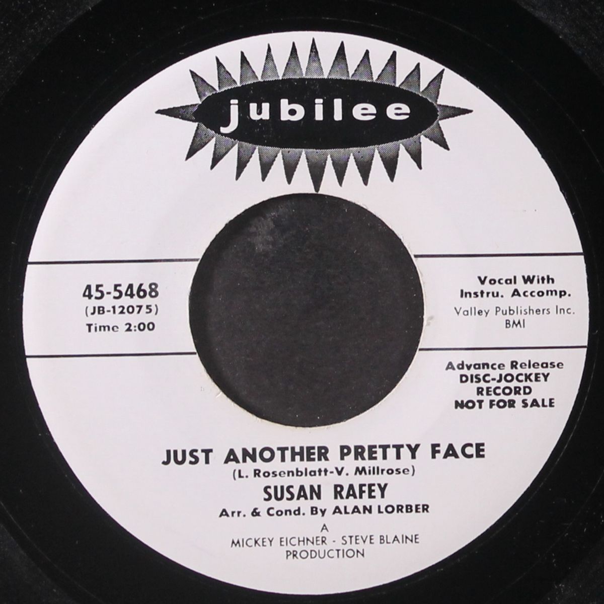 just another pretty face by SUSAN RAFEY