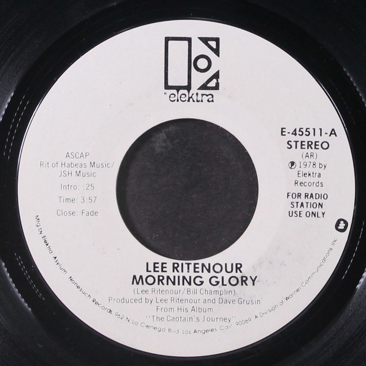 morning glory by LEE RITENOUR