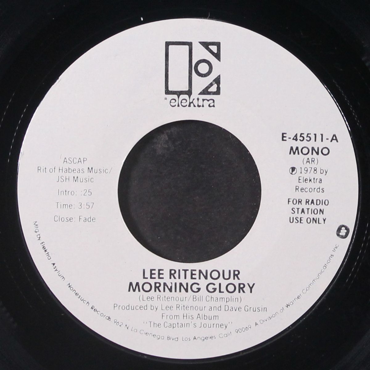 morning glory by LEE RITENOUR