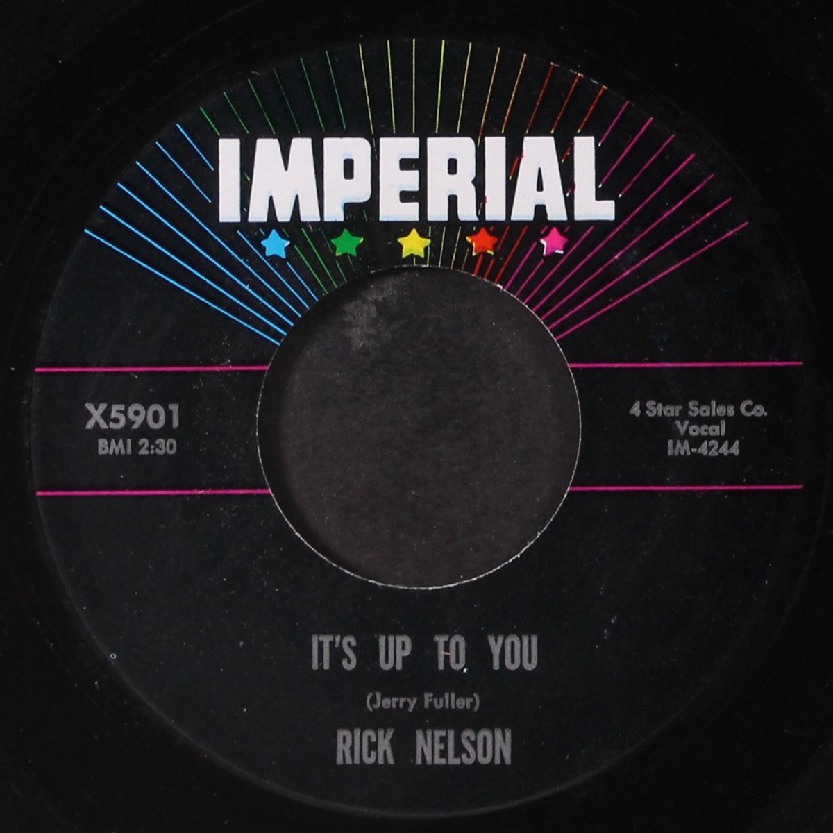 it's up to you / i need you by RICK NELSON