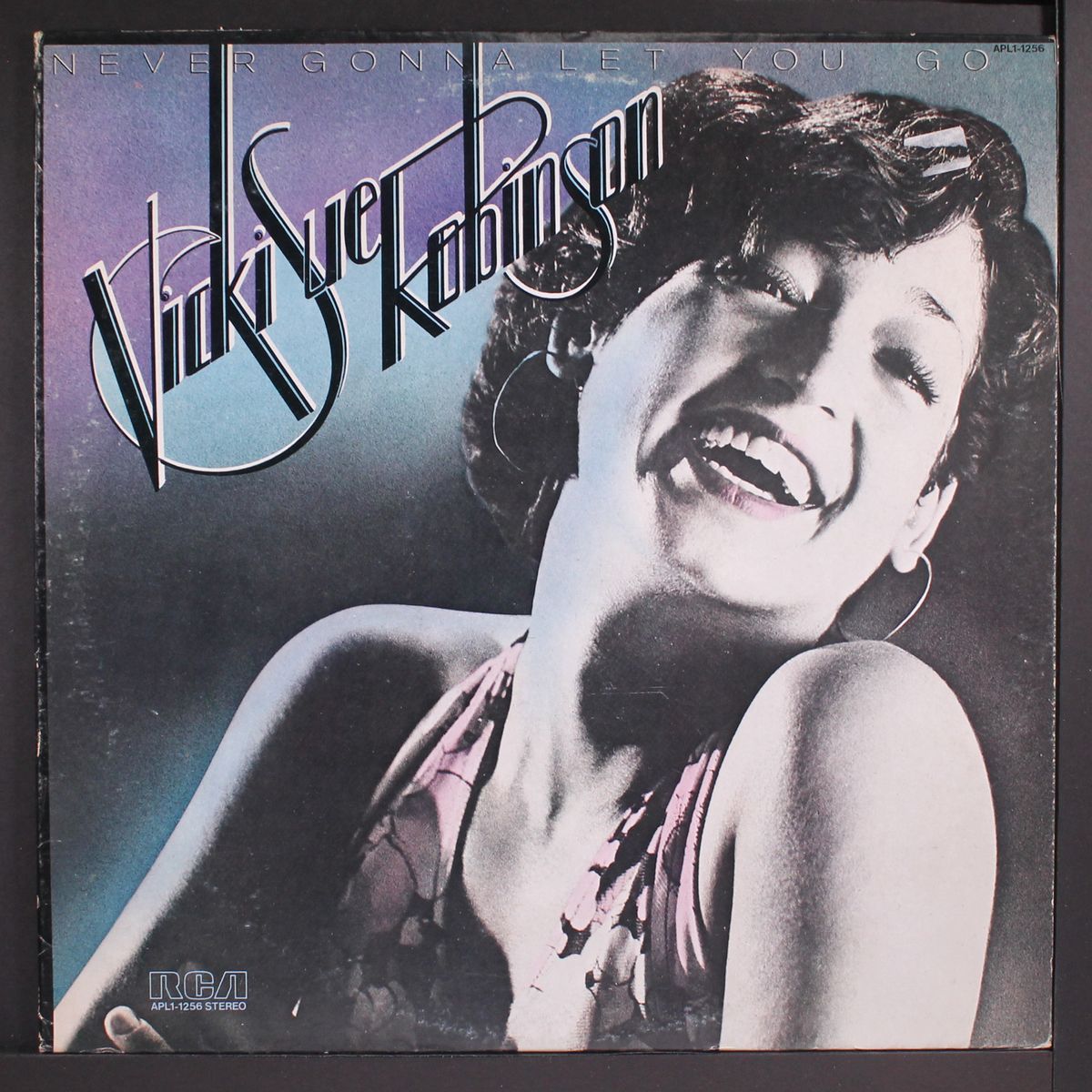 never gonna let you go by VICKI SUE ROBINSON