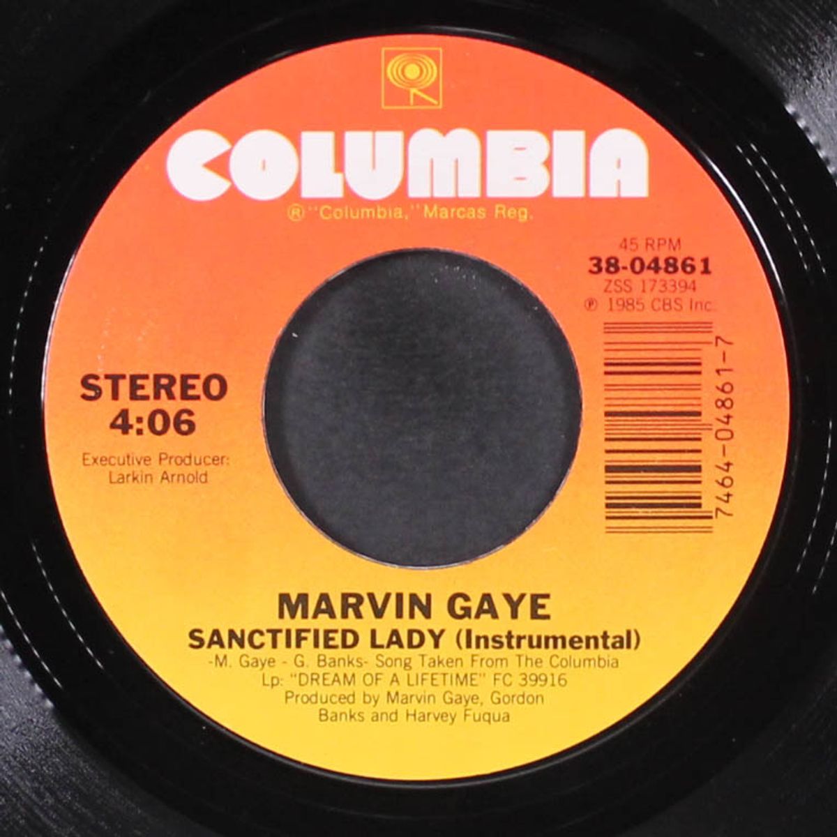 sanctified lady / instrumental by MARVIN GAYE