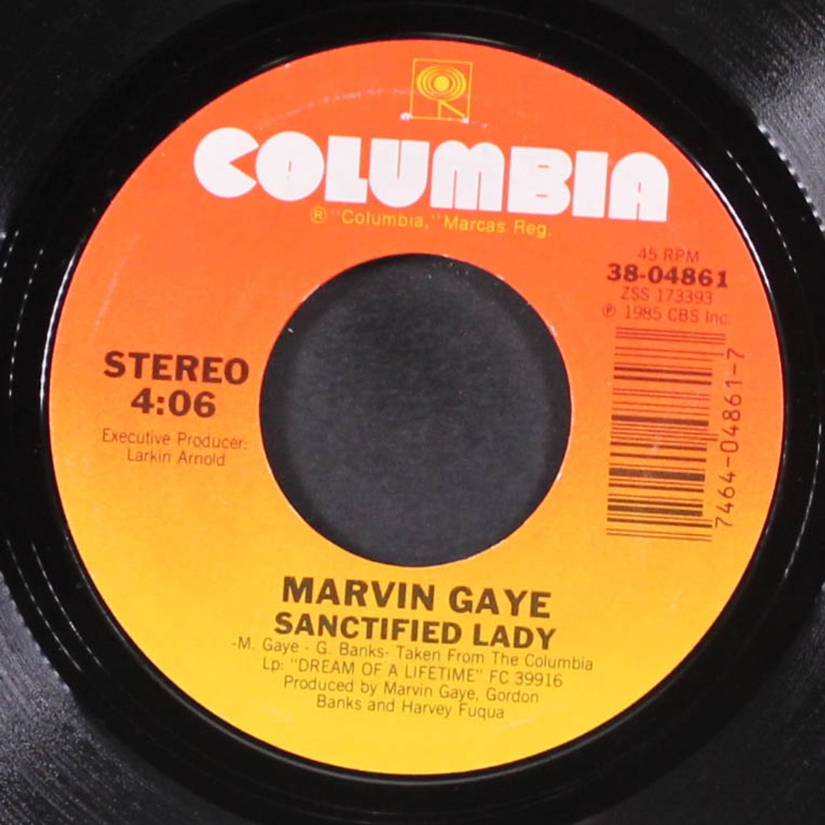 sanctified lady / instrumental by MARVIN GAYE