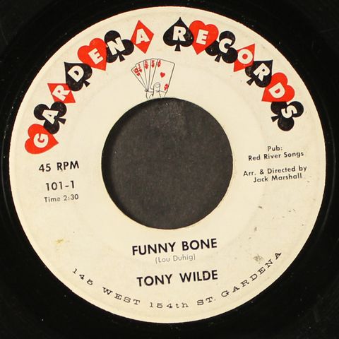 TONY WILDE