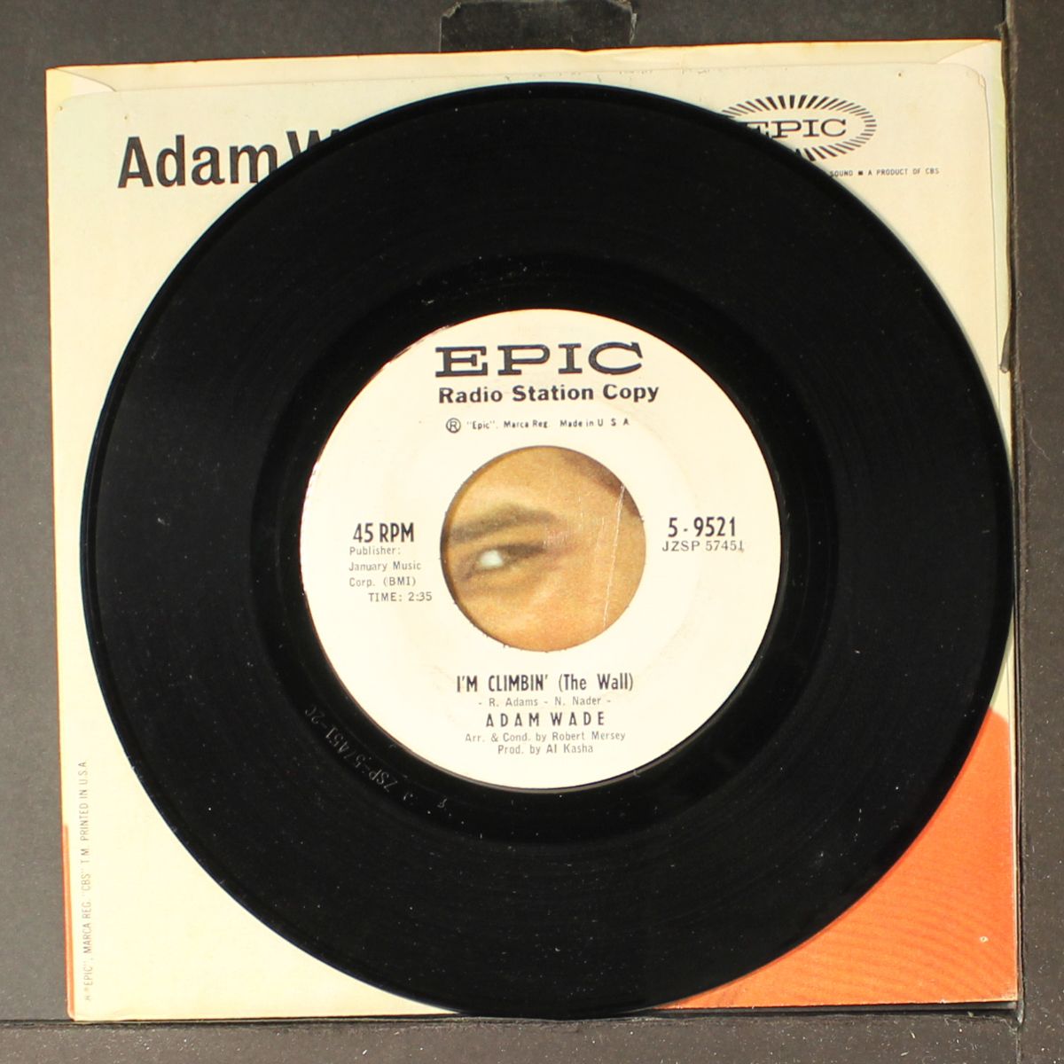 i'm climbin' / they didn't believe me by ADAM WADE