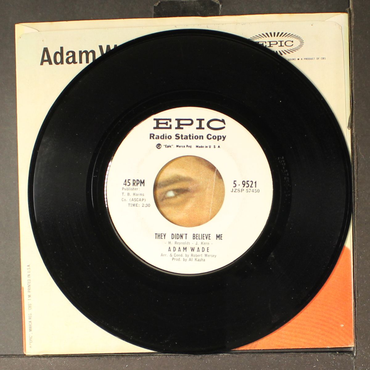 i'm climbin' / they didn't believe me by ADAM WADE