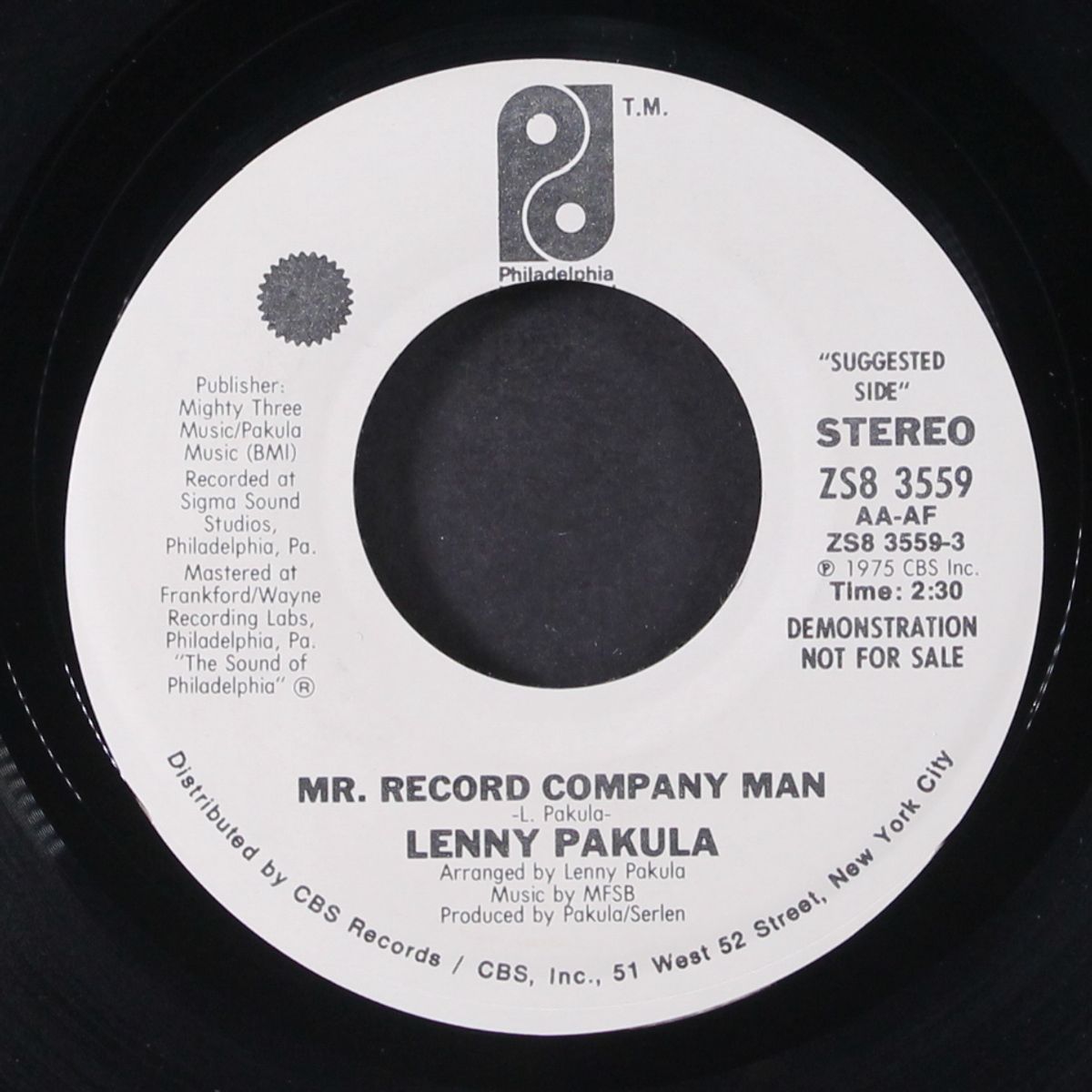 mr. record company man / don't let it get you down by LENNY PAKULA