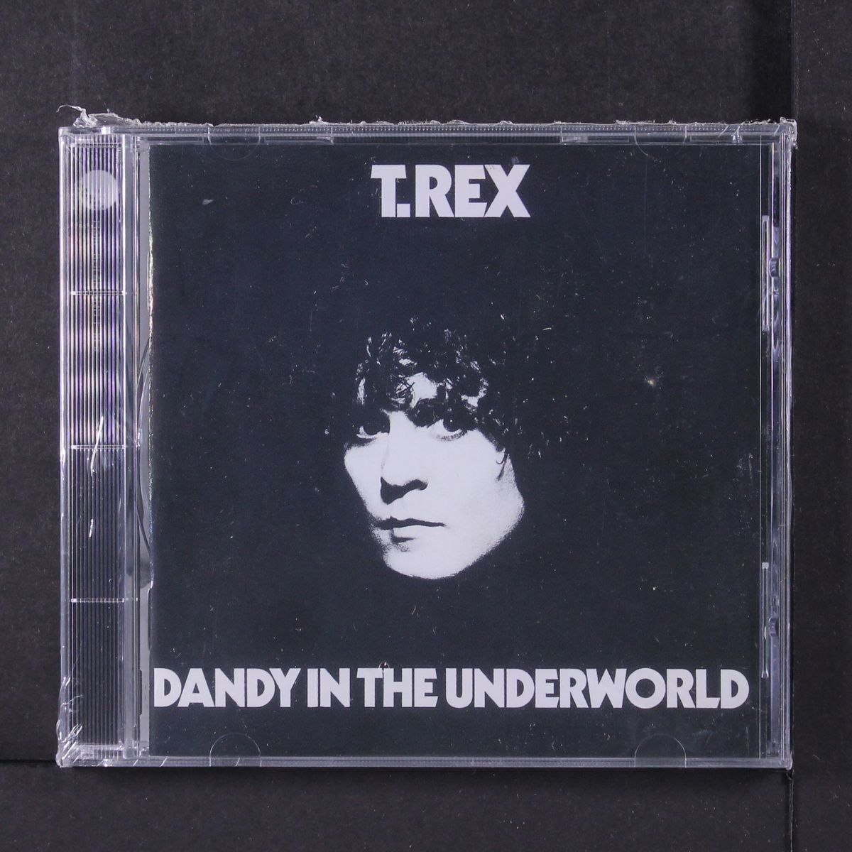 dandy in the underworld by T. REX