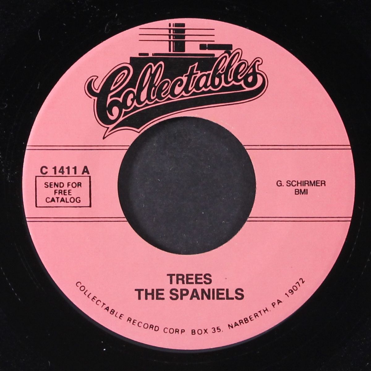 trees / 100 years from today by SPANIELS