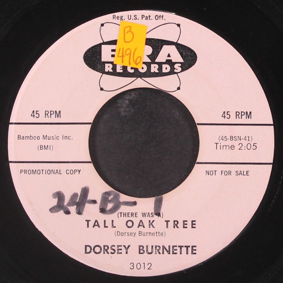 tall oak tree / juarez town by DORSEY BURNETTE
