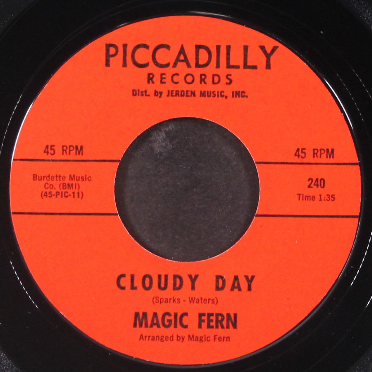 nellie / cloudy day by MAGIC FERN