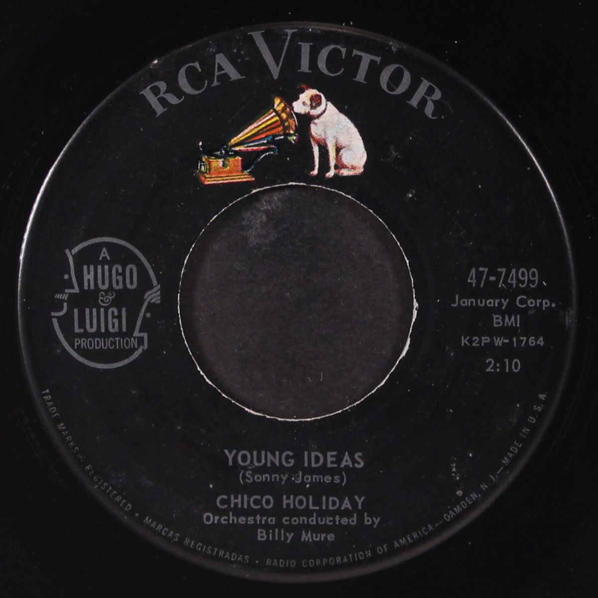 young ideas / cuckoo girl by CHICO HOLIDAY
