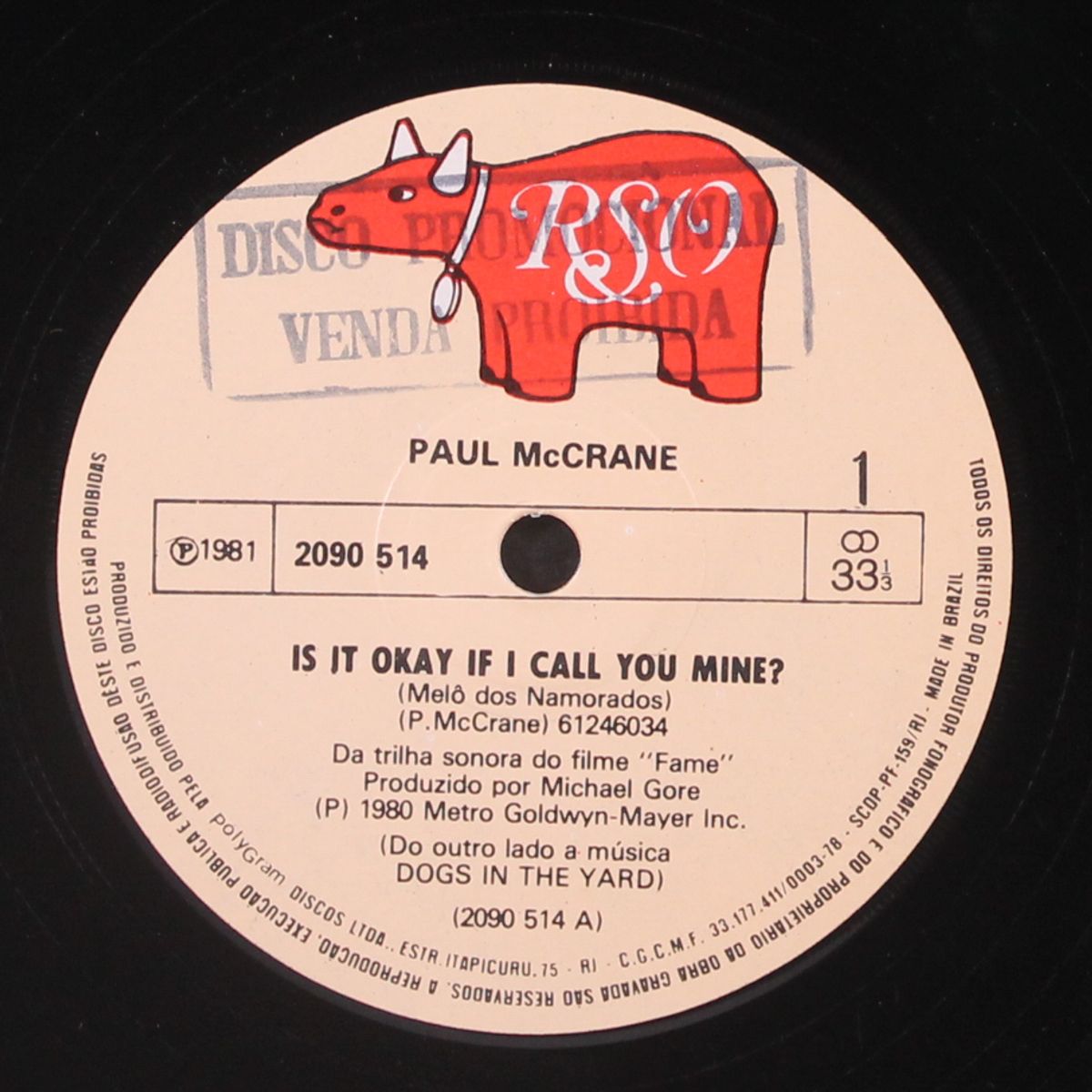 is it okay if i call you mine / dogs in the yard by PAUL MCCRANE