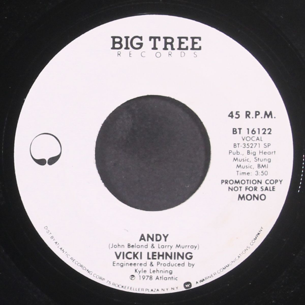 andy / mono by VICKI LEHNING