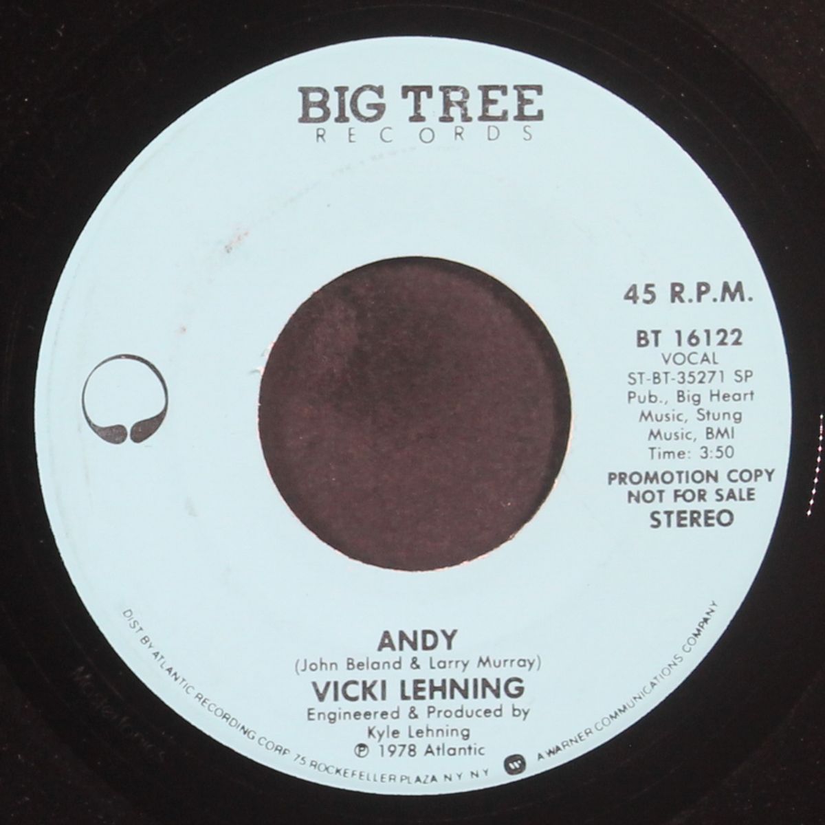 andy / mono by VICKI LEHNING